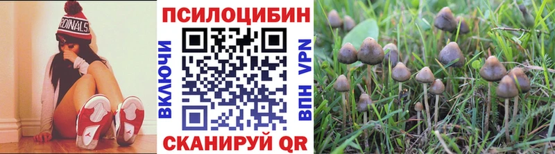 маркетплейс как зайти  Можайск  МЕГА ССЫЛКА  Псилоцибиновые грибы мухоморы  продажа наркотиков 