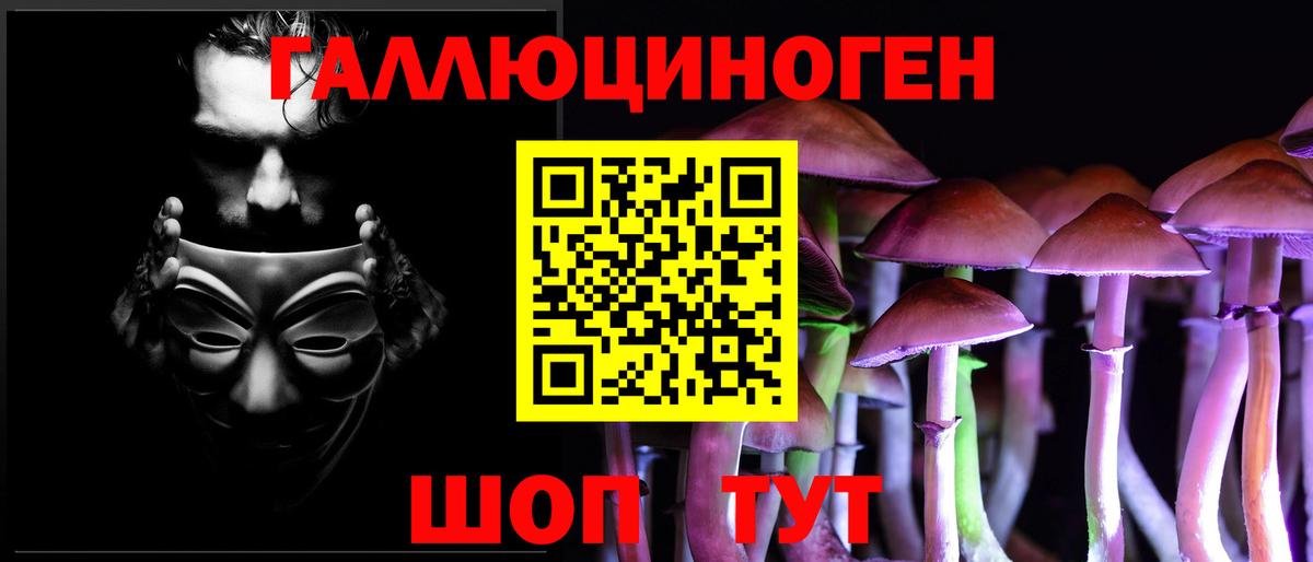 Можайск  Псилоцибиновые грибы прущие грибы  Галлюциногенные грибы Psilocybine cubensis  Вход с VPN 